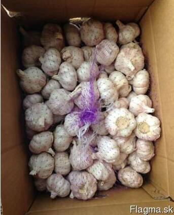 Garlic / origin Chima