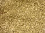 Bard Grain – 100 % kukurica (DDGS) - photo 1