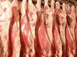 Beef