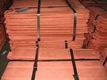 Copper Cathode Plates - photo 1