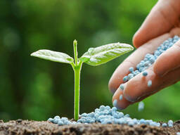 Agricultural grade 46% nitrogen fertilizer prilled/ granular urea n46% fertilizer prices