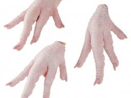 Frozen Chicken Paw