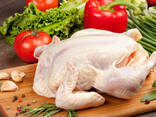 Halal Frozen Chicken, Thigh, Back quarter, Wings , Fillet IPBF , IQF, BF. Ukraine - photo 1