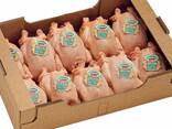 Quality Halal Frozen Whole Chicken - фото 2
