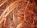 High Quality Mill-Berry Copper Wire Scrap 99.99% Purity Now Available at Competitive Price - фото 2