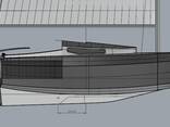 Lion450 Gaf Day cruiser - фото 3