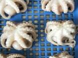 Мороженная рыба и морепродукты в Словакию от производителя из КНР - фото 3