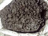 Peat soil for champignons /