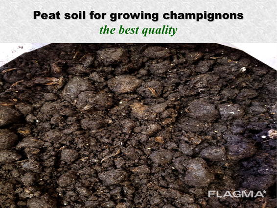 Peat soil for champignons