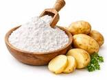 Potato starch Highest extravance produced in Belarus - photo 1