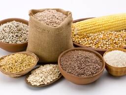 Sale of various grain crops (wheat, corn, soy, etc. )