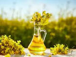 Rapeseed oil - фото 1
