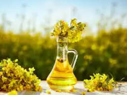 Rapeseed oil