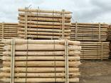Round Pointed Post, barked stakes - photo 5