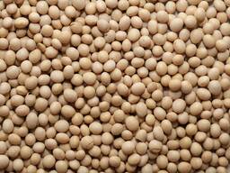Non-GMO sójové bôby, 200 ton, zber 2021, výroba Ukrajina