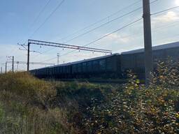 Selling Corn and Wheat 3-4 class loaded to buyer's European wagons at the border