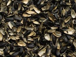 Slnečnicové šupky