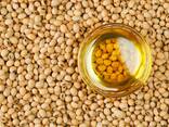 Soybean oil/ Sójový olej - фото 1