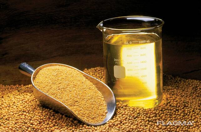 Soybean oil wholesale