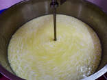 Syrové mliečne výrobky - фото 7