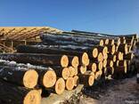 Unedged sawn timber, pine - photo 2