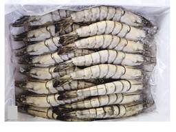 Veľkoobchod s krevetami čierneho tigra