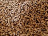 Wood pellets | Manufacturer | 1000 tons p. m. | Eco-fuel | Ultima - фото 3